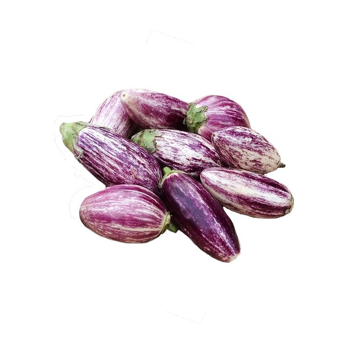 Aubergine Graffitti1