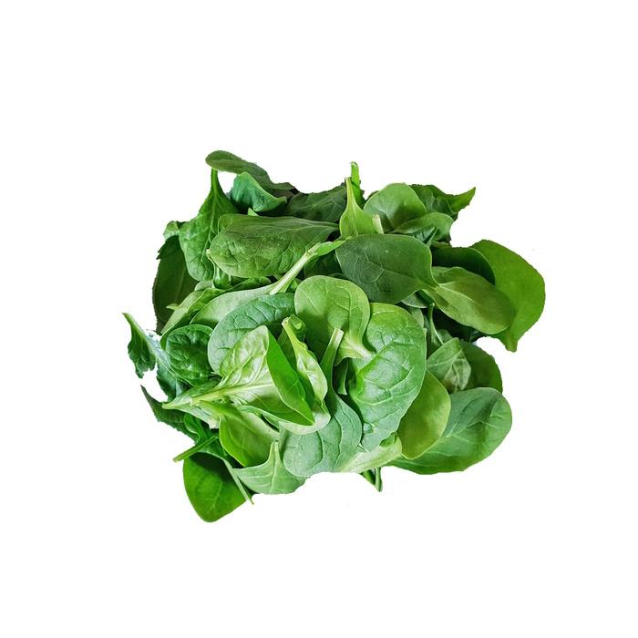 Baby spinat