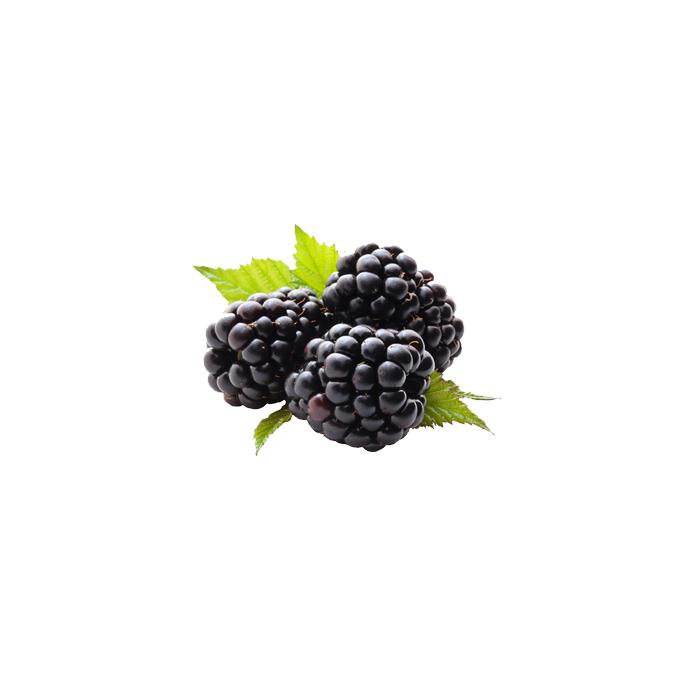 Brombeeren 125g