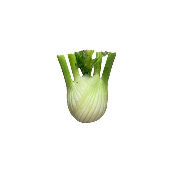 Fenchel