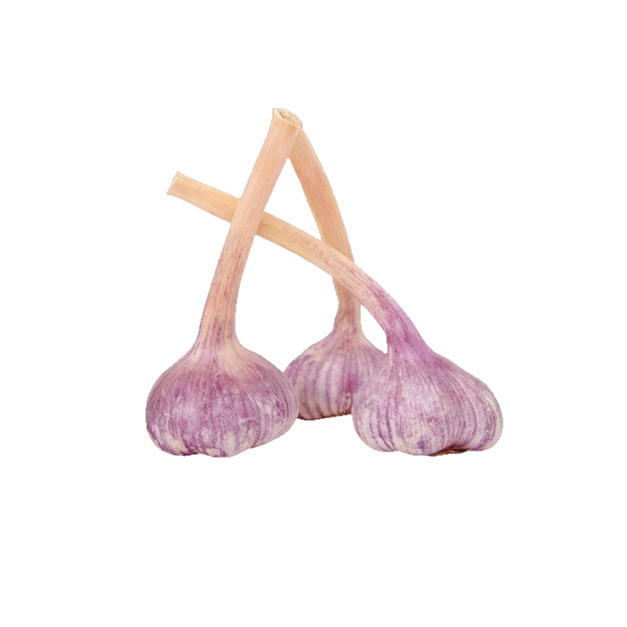 Knoblauch rosa