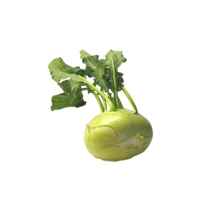 Kohl Kohlrabi