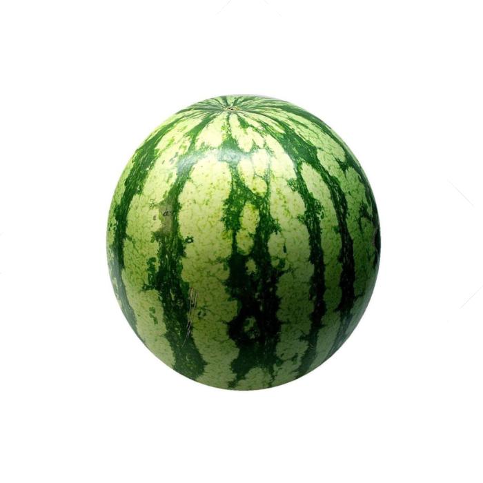 Melone Wassermelone