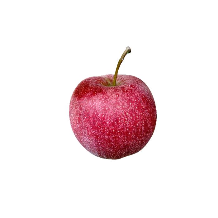 Obst Apfel rot