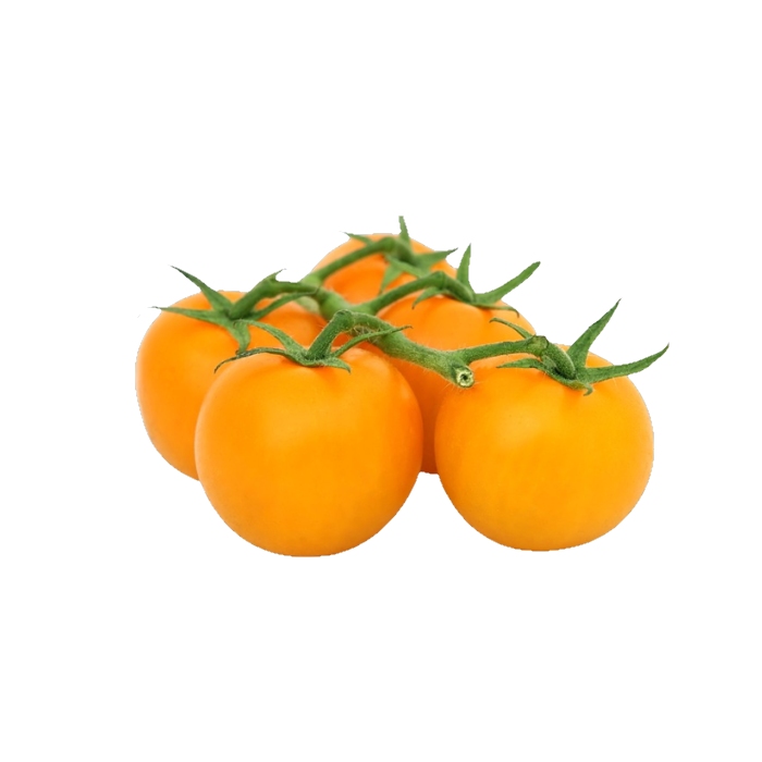 Tomaten gelb