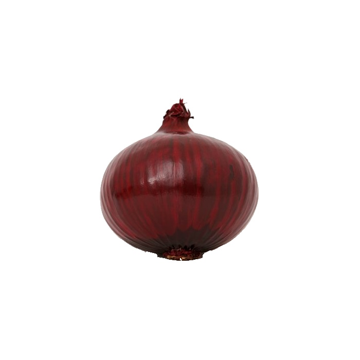 Zwiebel rot