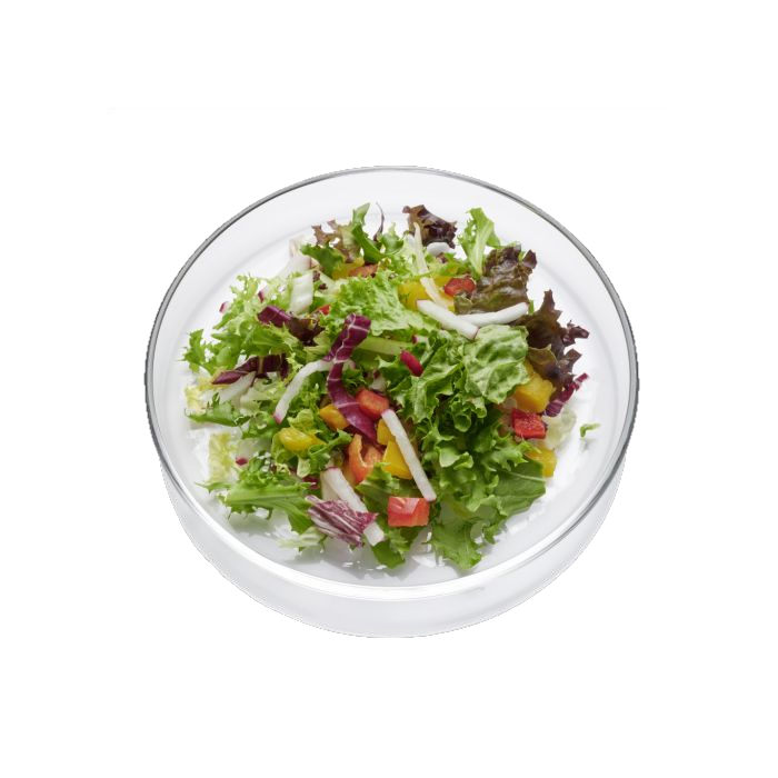 Frikoni Amsterdamer Mix