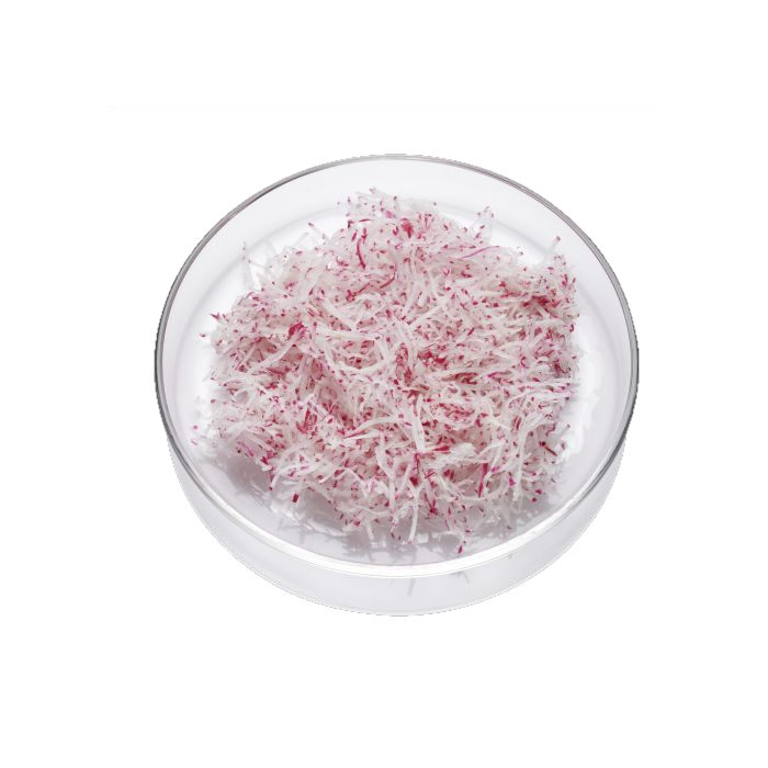 Frikoni Radieschen Streifen 1,6m