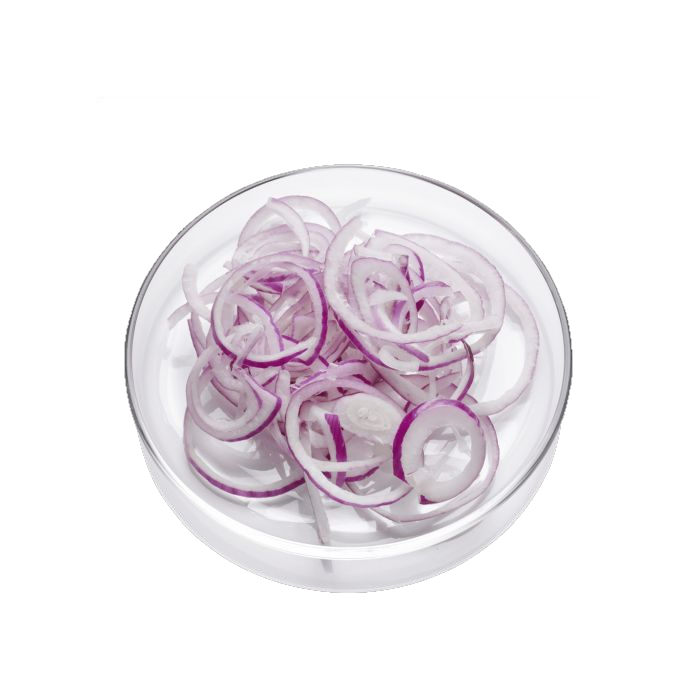 Frikoni Zwiebeln rot Streifen 4mm