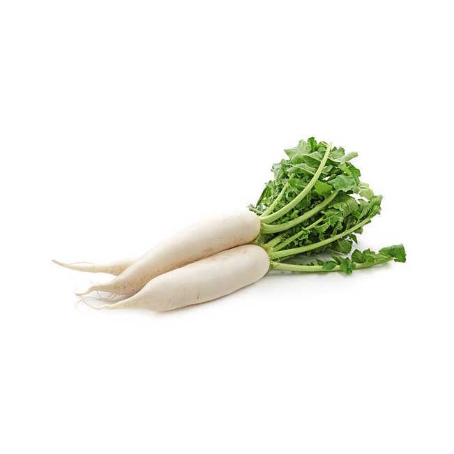 Daikon radishes isolated on white background