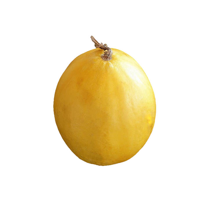 Melone gelb1